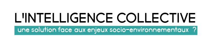 L'intelligence-collective.png
